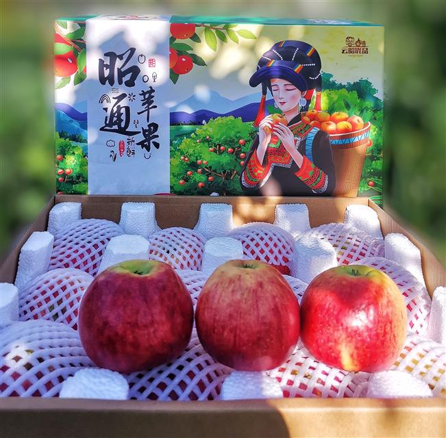 物流找“婆家” 包装添“嫁衣”——云南昭通招商引资推动高原特色农业发展